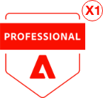 magento2-professional-badge